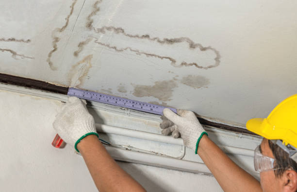 Reliable Burst Pipe Cleanup contractor in Evergreen, CO by Local Water Damage Repair